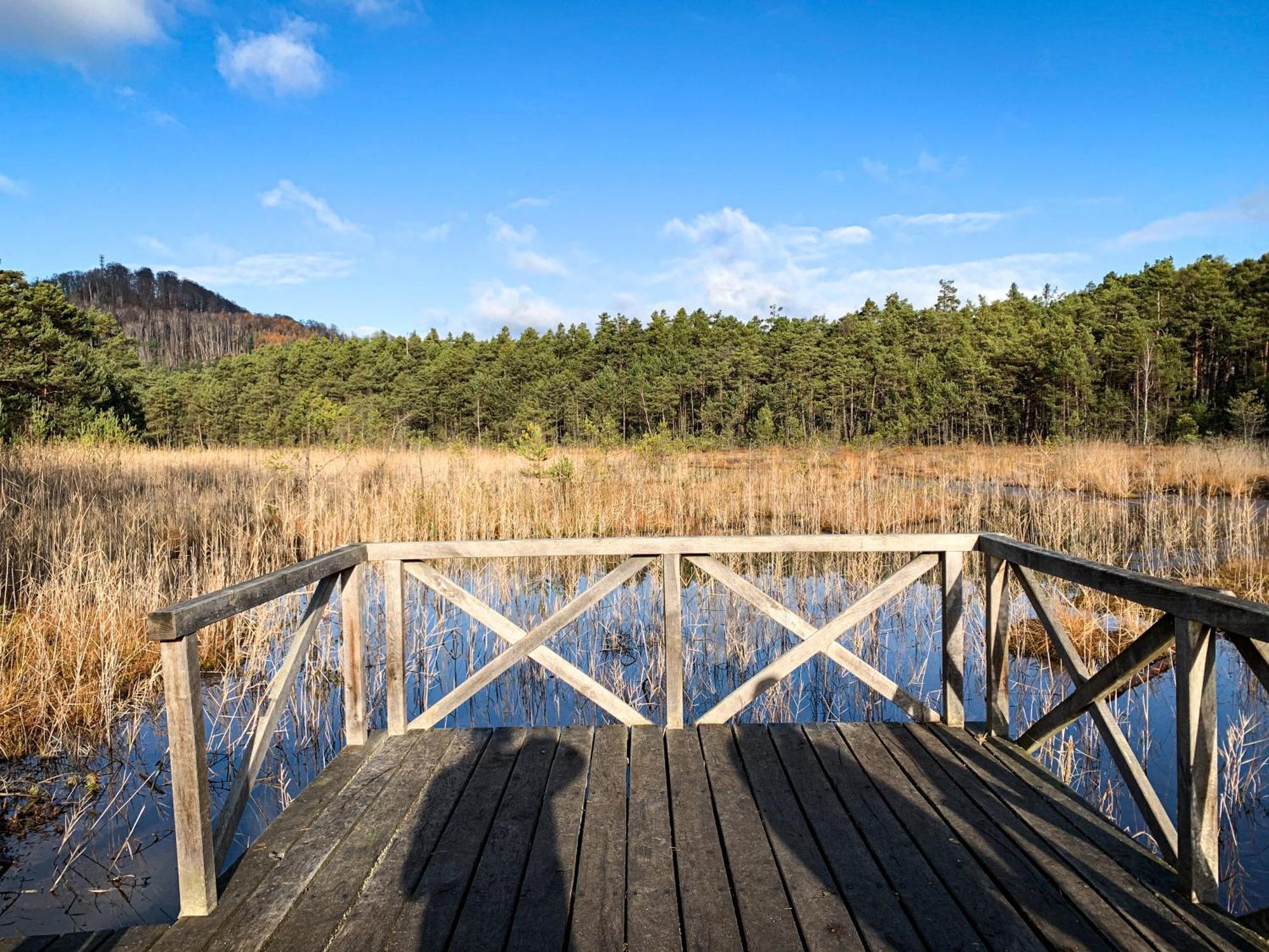 Remote Work Friendly Zahradni Apartman U Jezera Staré Splavy Exteriör bild